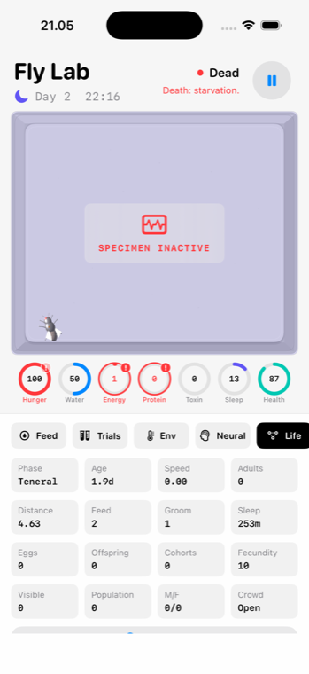 Fly Lab life screen with phase, age, activity, offspring, and population stats