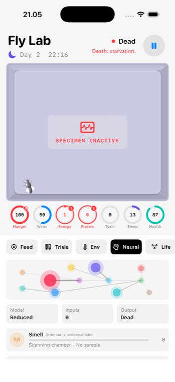 Fly Lab neural screen with colored node network and output state